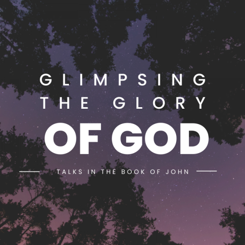 Glimpsing the glory of God (3) John 16:4-16